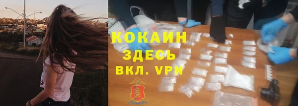 стаф Кинешма