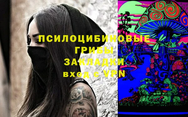 стаф Кинешма