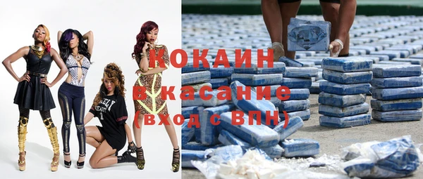 стаф Кинешма