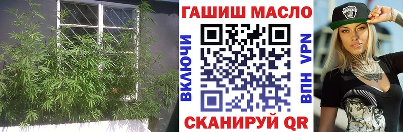 Купить закладки  Дмитров  Дистиллят ТГК гашишное масло 
